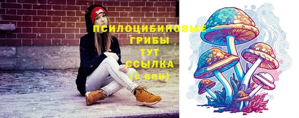 скорость Арсеньев