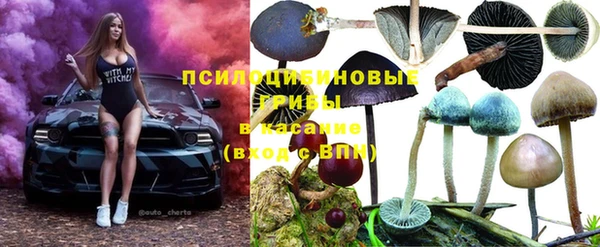 MDMA Premium VHQ Аркадак