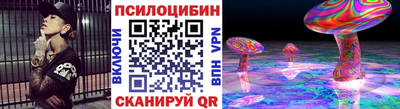 Псилоцибиновые грибы Cubensis  Свирск 